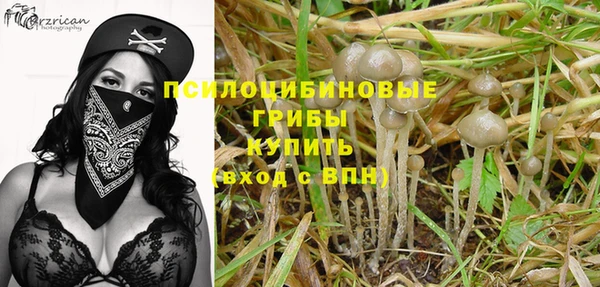 твердый Горно-Алтайск